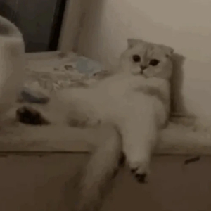 一级黄色性生活片
